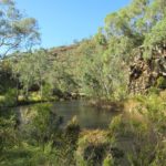 Nature Conservation Society of South Australia