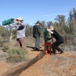 Field Naturalists Society of South Australia