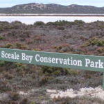 Sceale Bay Conservation Park