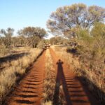 Corrugated track near the WA border