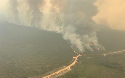 Devastating fires impact Kangaroo Island and Cudlee Creek
