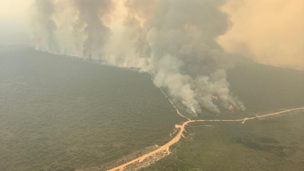 Devastating fires impact Kangaroo Island and Cudlee Creek