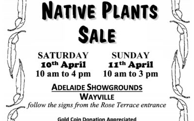 Australian Native Plant Sale coming up! 10 – 11th April at the Wayville Showgrounds – for the diary!