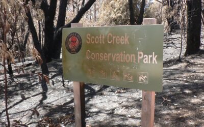 Scott Creek Conservation Park fire: a message from Environment Minister David Speirs