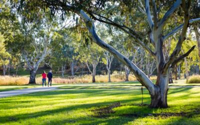 Green Adelaide’s Grass Roots Grants for a ‘cooler, greener, wilder Adeaide close on the 9th June – don’t miss out!