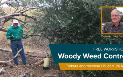 Free workshops on woody weed control on 19 and 26 May in Tickera and Melrose!
