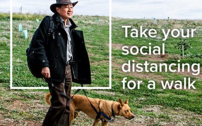 Take your Social Distancing for a walk in a National Park!