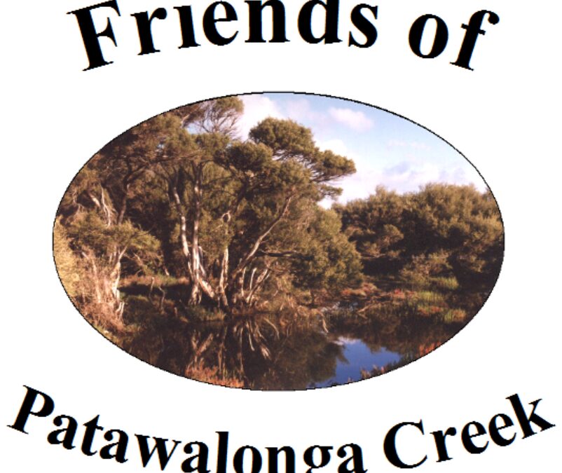 Friends of Patawalonga Creek