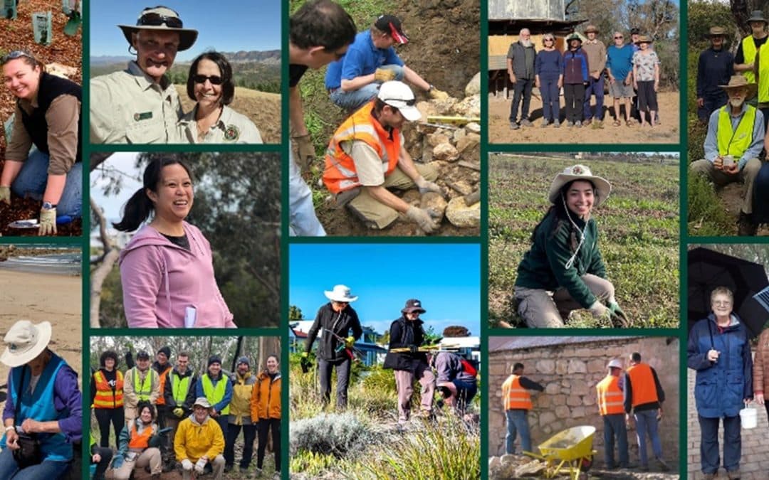 New volunteer management system – Rosterfy