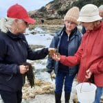 Friends of Seaweed – Limestone Coast